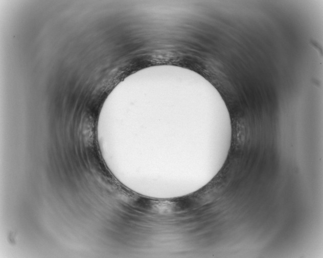 X0000100220226200806271734