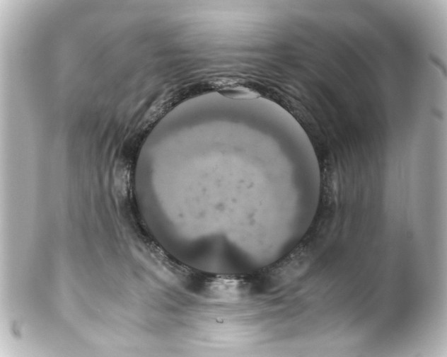 X0000100220227200806271734