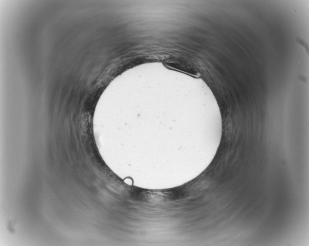 X0000100220229200806271734