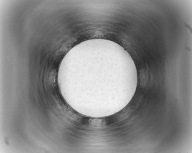 X0000100220230200806271734