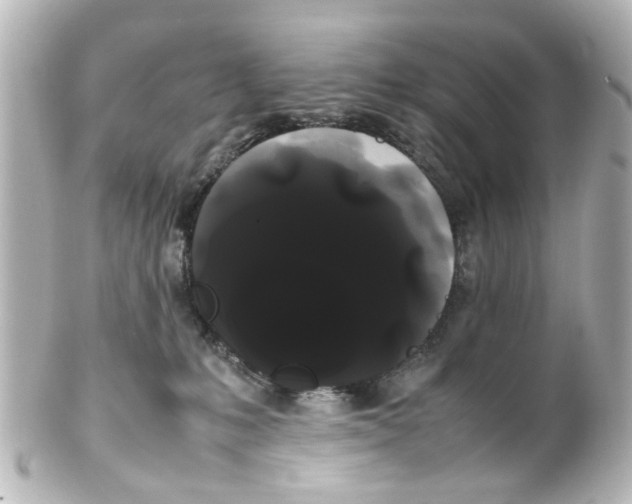 X0000100220231200806271734