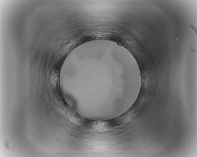 X0000100220235200806271734