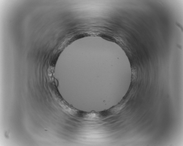 X0000100220237200806271734