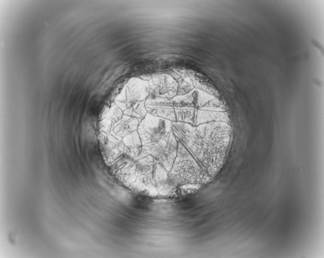 X0000100220240200806271734