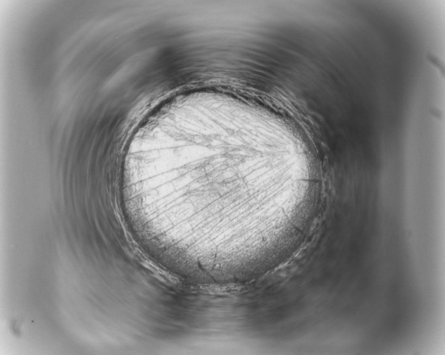 X0000100220241200806271733