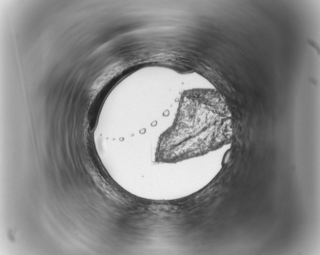 X0000100220242200806271733