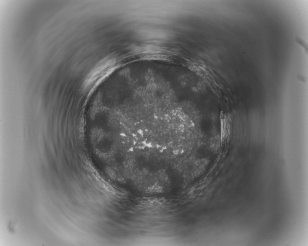 X0000100220243200806271733