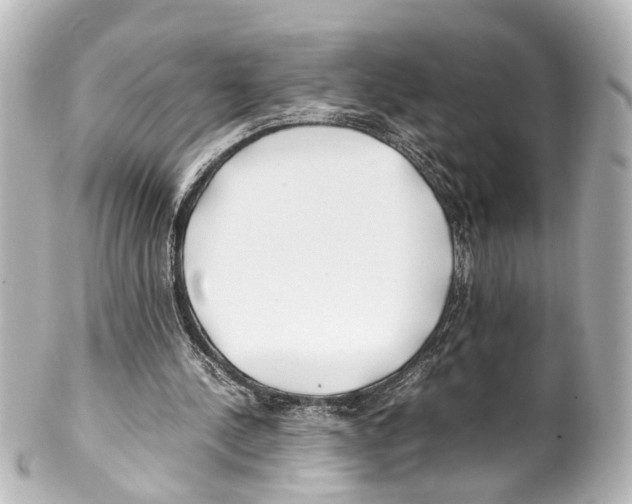 X0000100220244200806271733