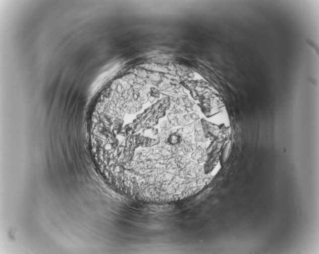 X0000100220245200806271733