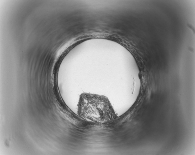 X0000100220246200806271733