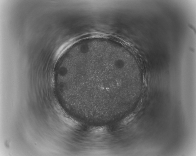 X0000100220247200806271733