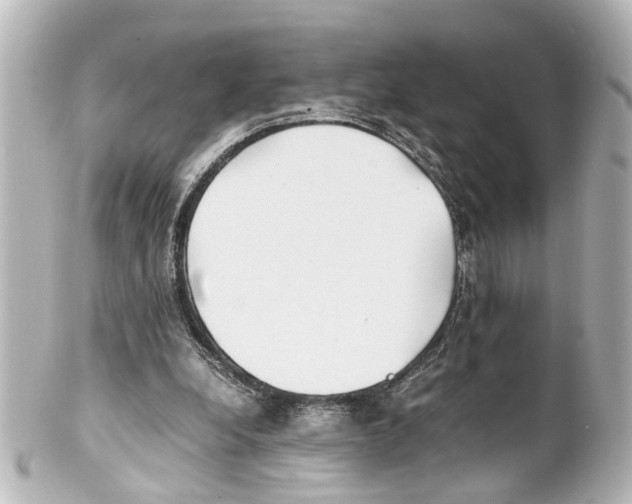 X0000100220248200806271733