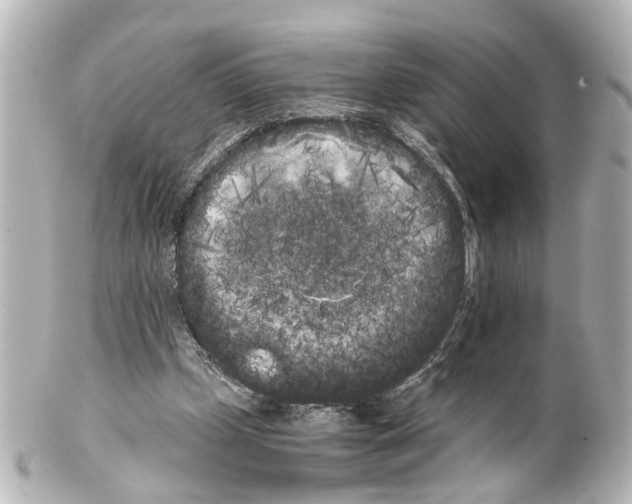 X0000100220249200806271733