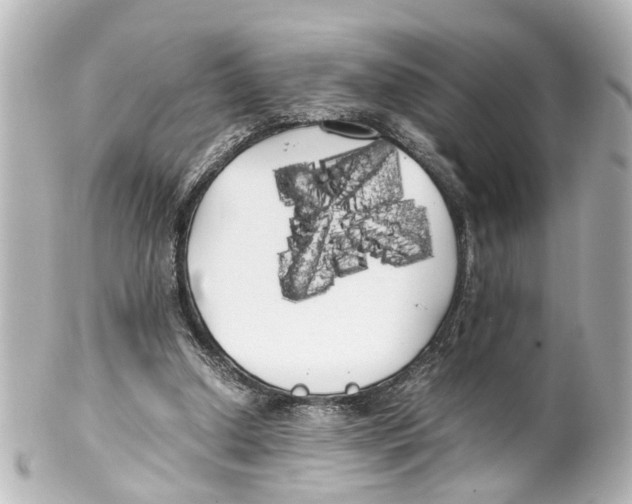 X0000100220250200806271733