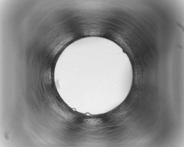 X0000100220251200806271733