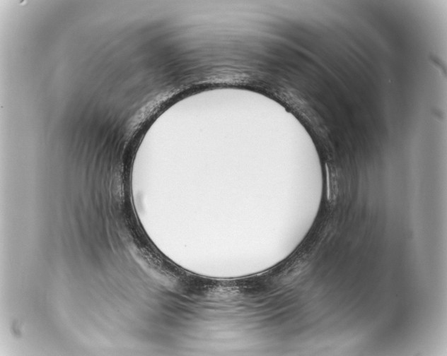 X0000100220252200806271733