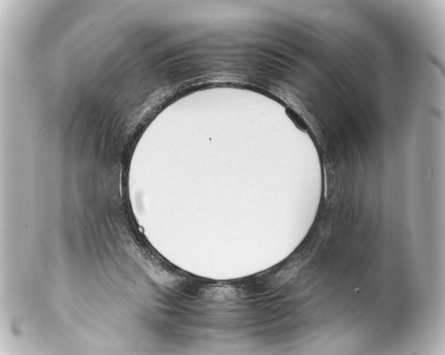 X0000100220253200806271733