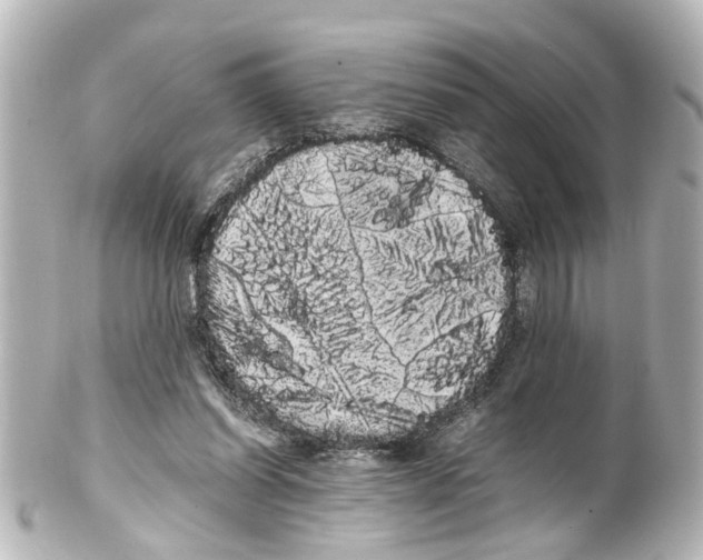 X0000100220254200806271733