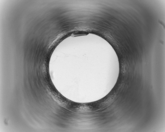 X0000100220256200806271733