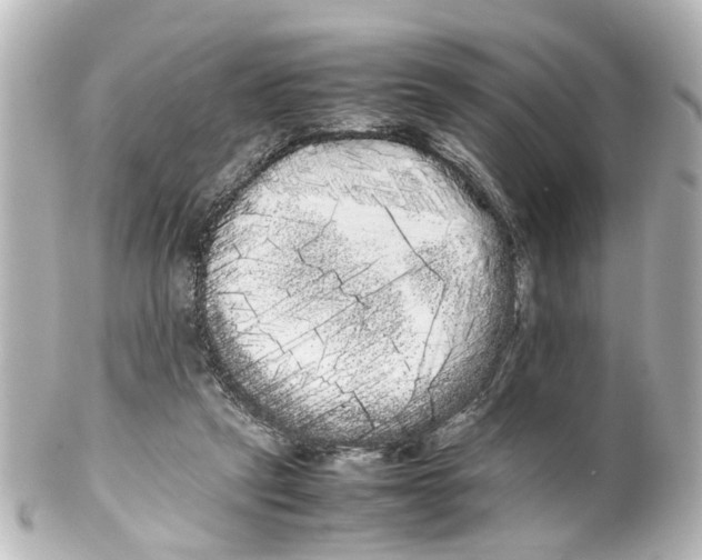 X0000100220257200806271733