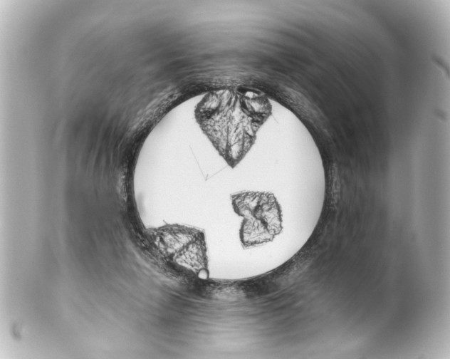 X0000100220258200806271733