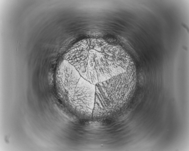 X0000100220259200806271733