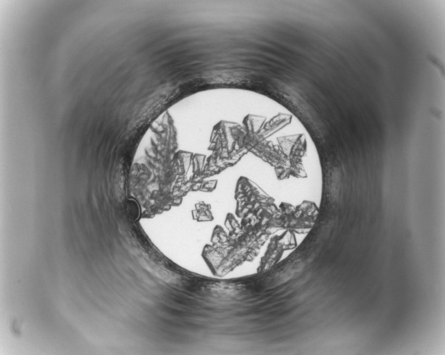 X0000100220261200806271733