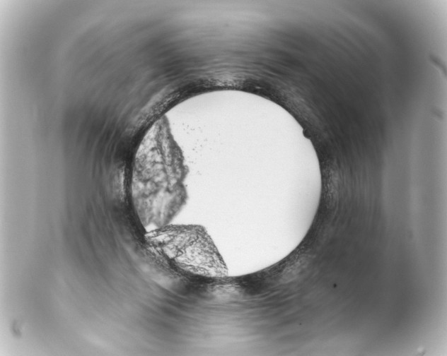 X0000100220262200806271733