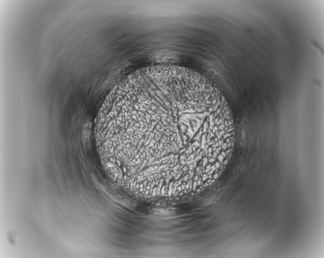 X0000100220263200806271734