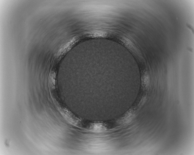 X0000100220264200806271734