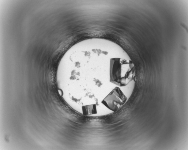 X0000100220268200806271734