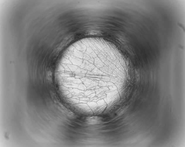 X0000100220269200806271734