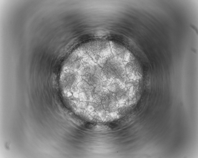 X0000100220270200806271734