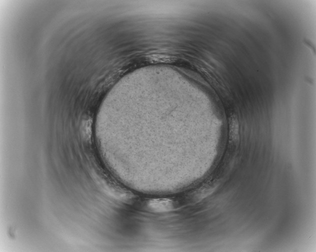 X0000100220271200806271734