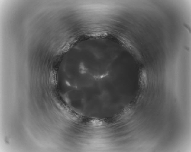 X0000100220272200806271734