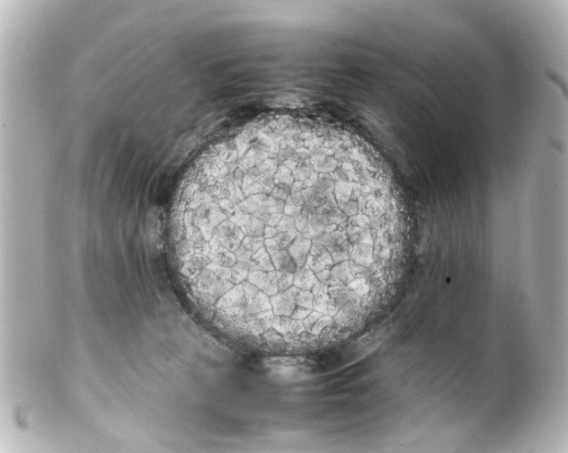 X0000100220273200806271734