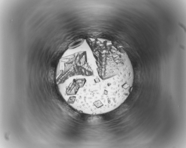 X0000100220274200806271734