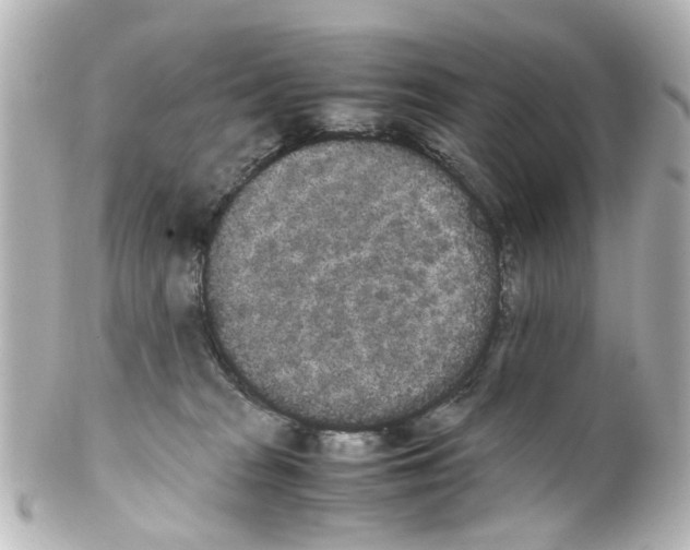 X0000100220277200806271734