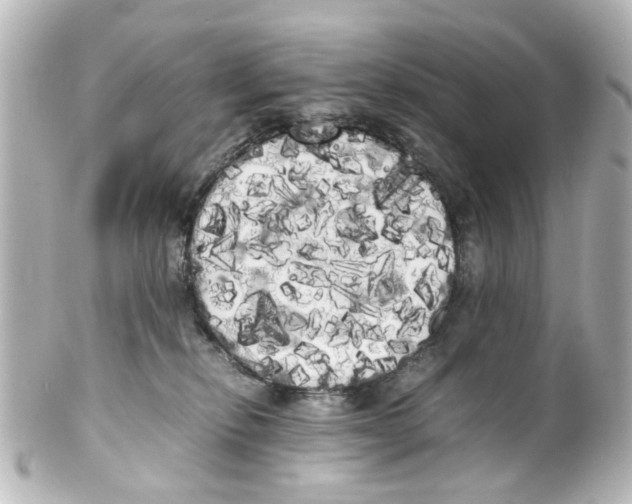 X0000100220278200806271734