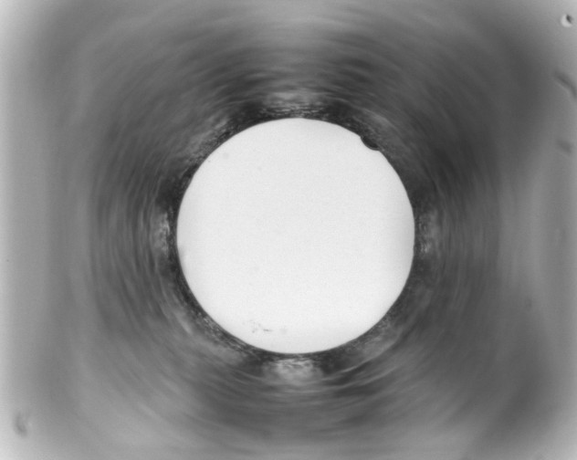 X0000100220279200806271734