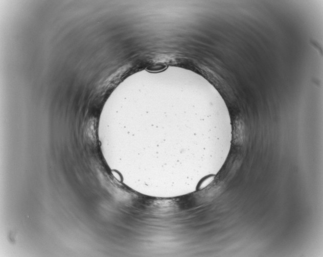 X0000100220280200806271734