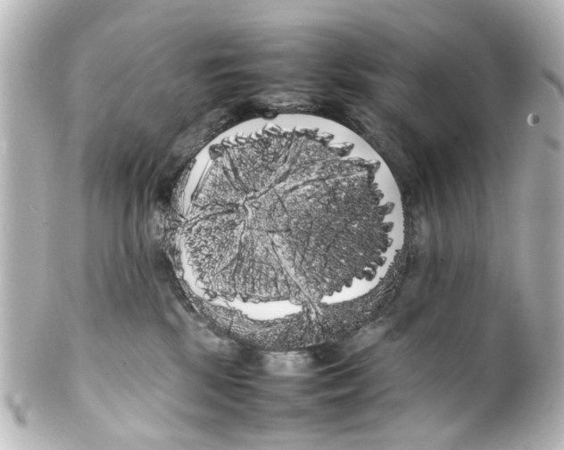 X0000100220281200806271734