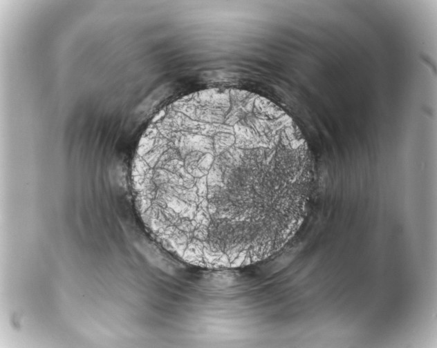 X0000100220282200806271734