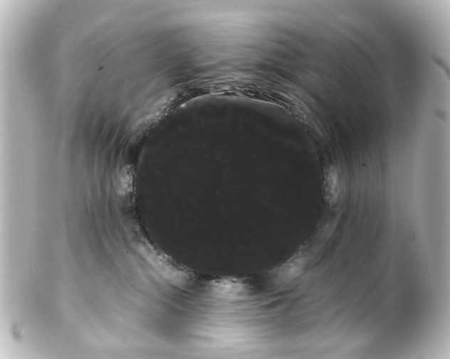 X0000100220284200806271734