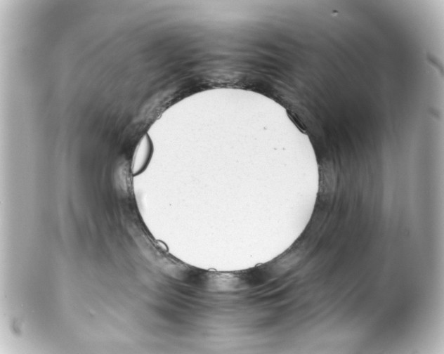 X0000100220287200806271734