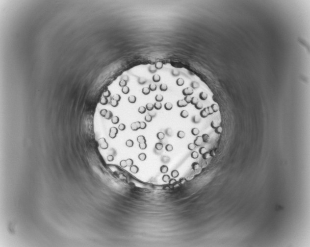 X0000100220288200806271734