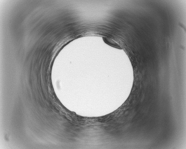 X0000100220289200806271733