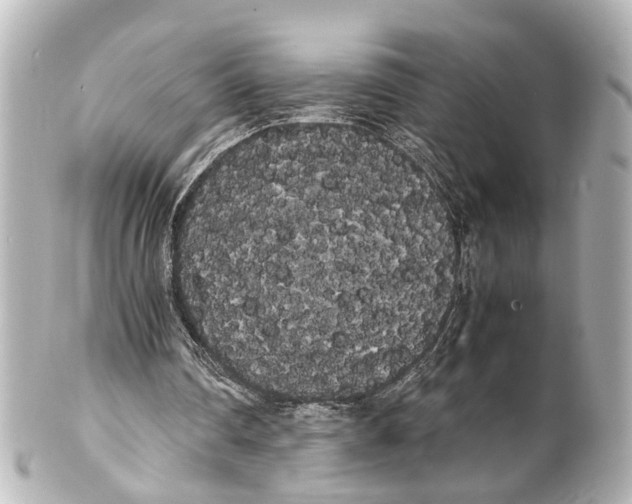 X0000100220290200806271733