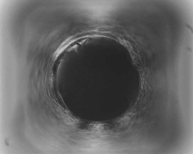 X0000100220295200806271733