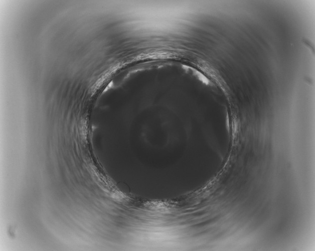 X0000100220297200806271733